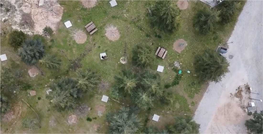 Doğada düğün dış çekimi drone